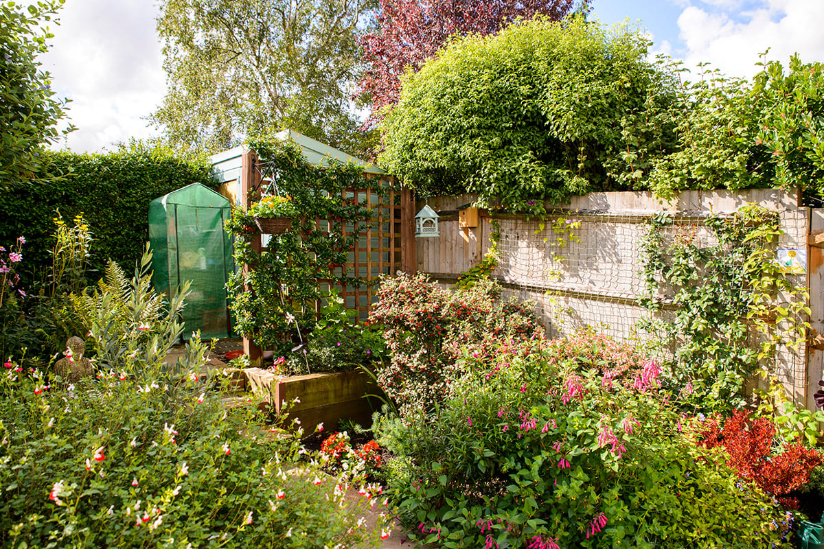Garden landscape