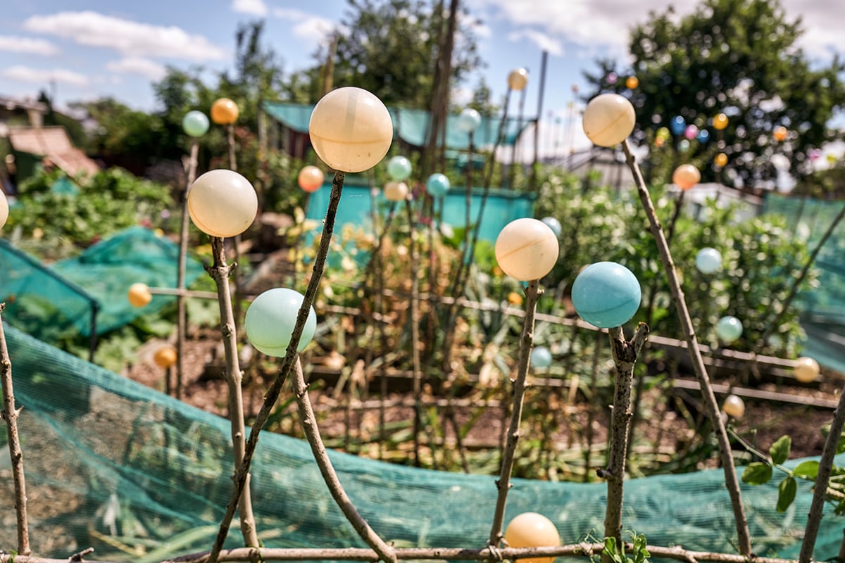 Community garden