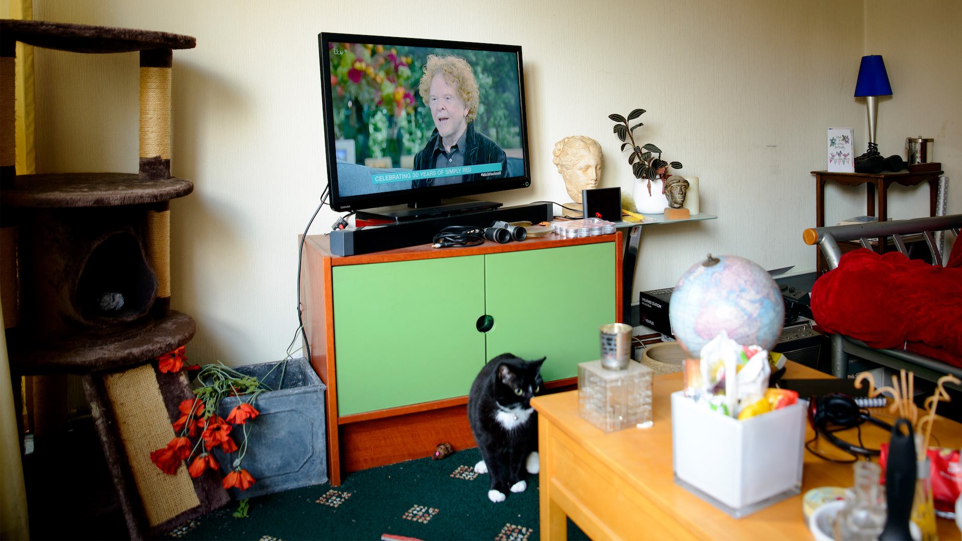 picture of a cluttered living room