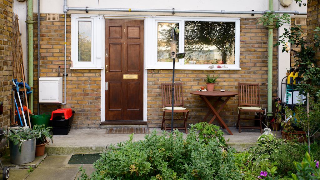 Back garden