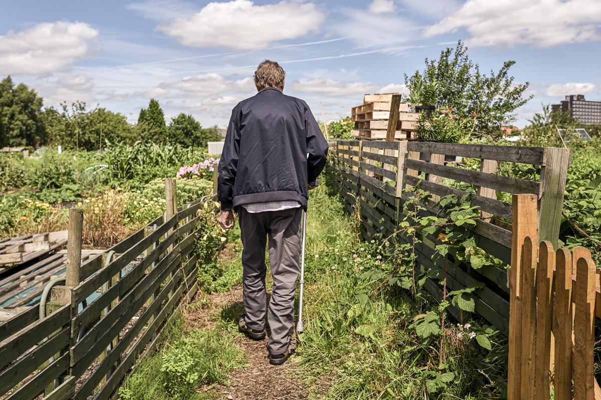 Man walking across an allotment, Gorsehill - Greater Manchester