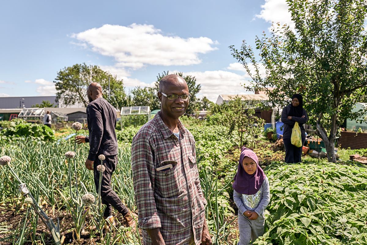 gorse hill allotment