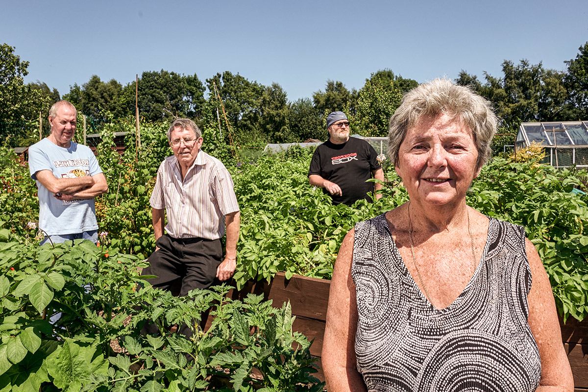 Allotments