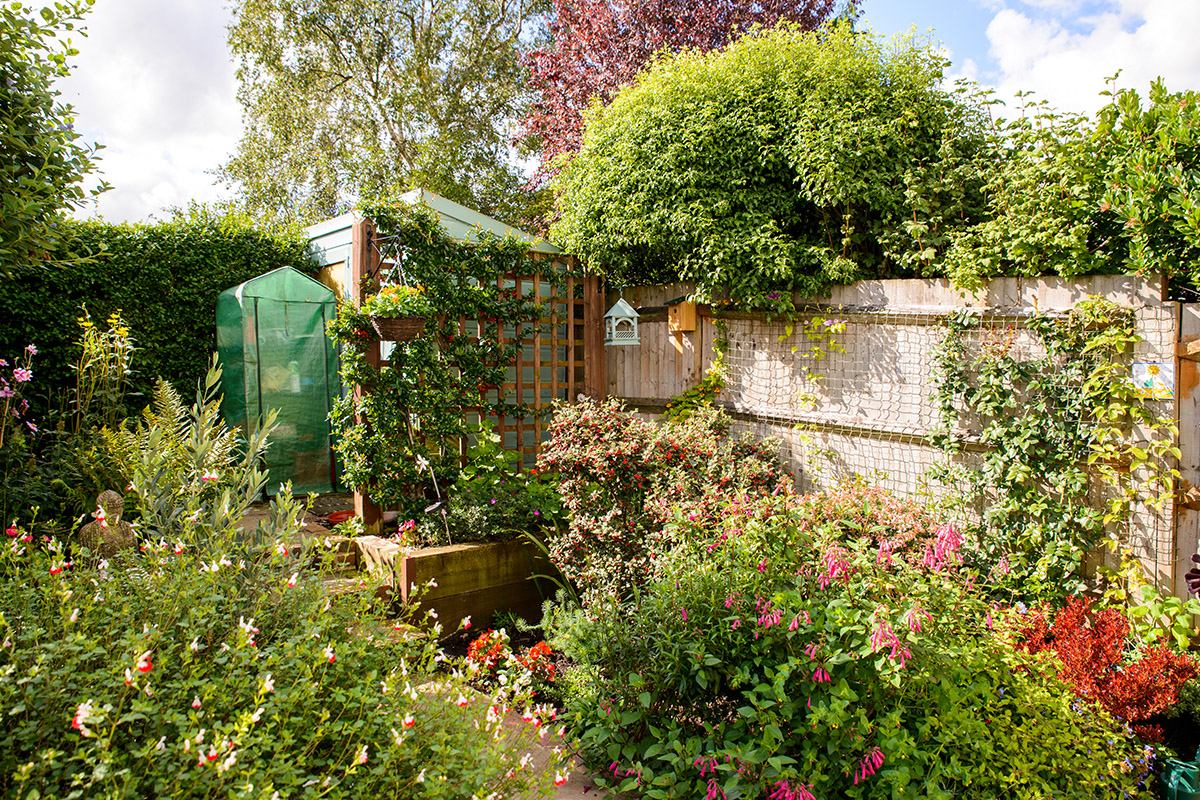 Garden landscape
